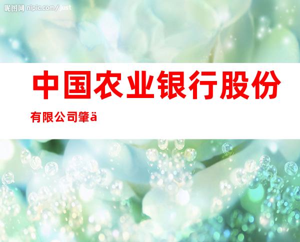 中国农业银行股份有限公司肇东正阳支行